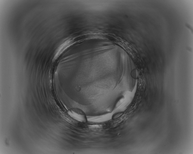 X0000097860053200804041537