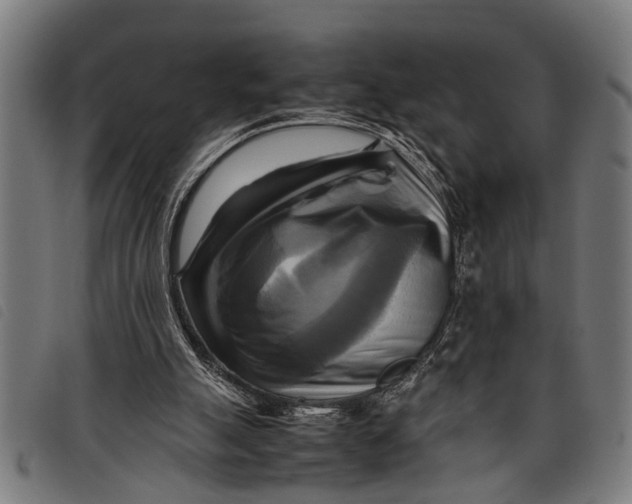 X0000097860055200804041537