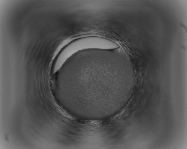 X0000097860056200804041537