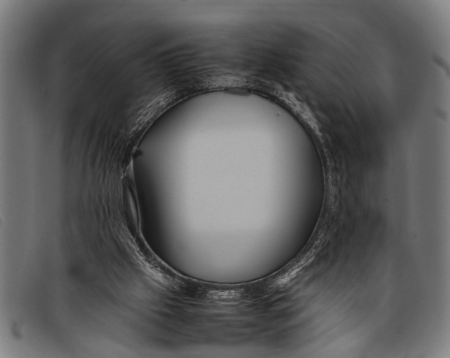 X0000097860057200804041537