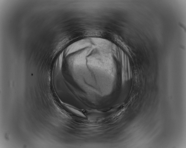 X0000097860059200804041537