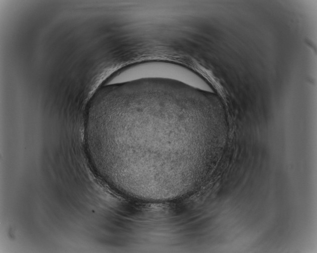 X0000097860060200804041537