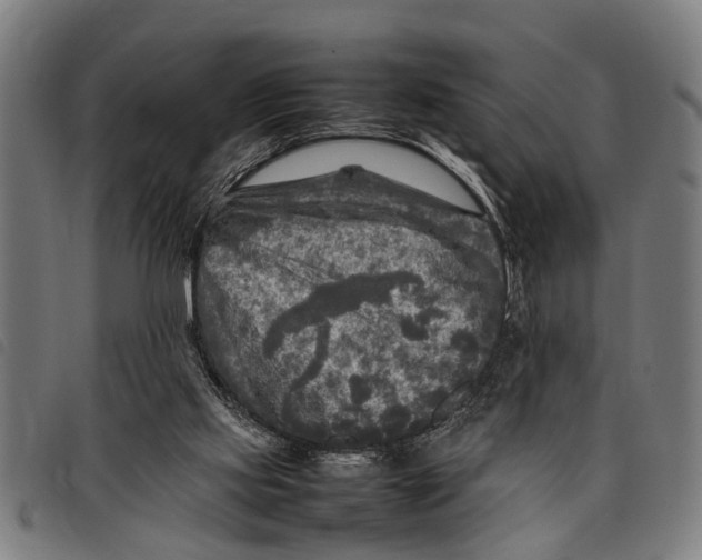 X0000097860061200804041537