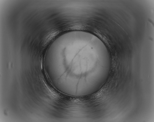 X0000097860062200804041537