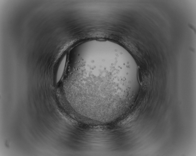 X0000097860064200804041537