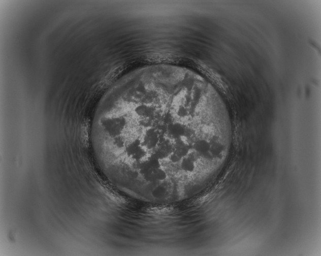 X0000097860065200804041537