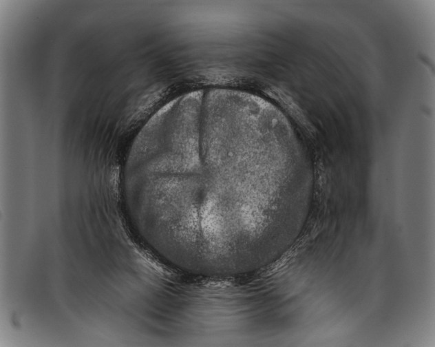 X0000097860066200804041537