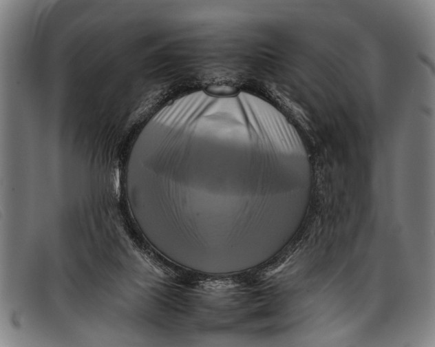 X0000097860067200804041537