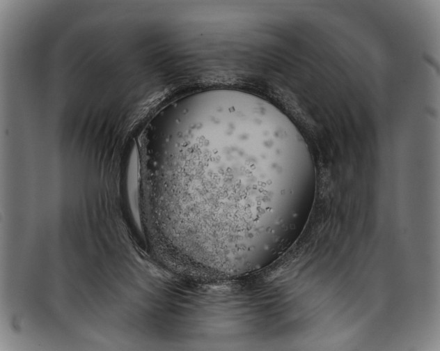 X0000097860068200804041537