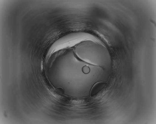 X0000097860069200804041537