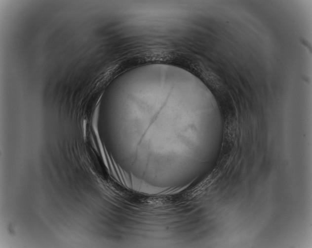 X0000097860070200804041537