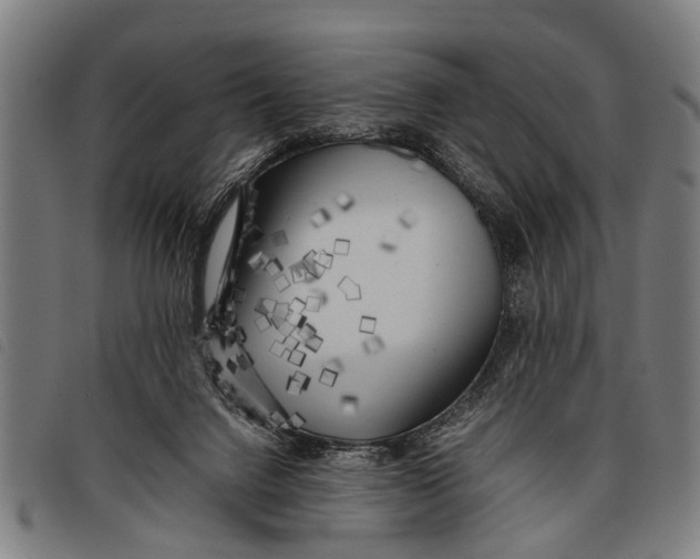 X0000097860072200804041537