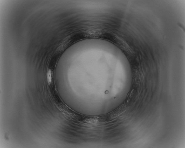 X0000097860075200804041537