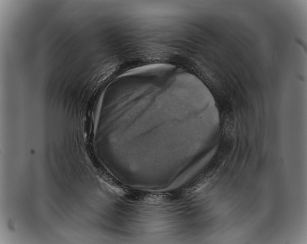 X0000097860076200804041537