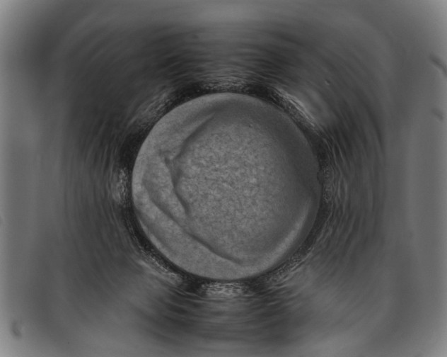 X0000097860077200804041538