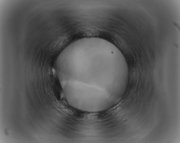 X0000097860078200804041538