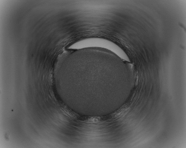 X0000097860080200804041538