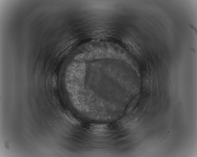 X0000097860081200804041538