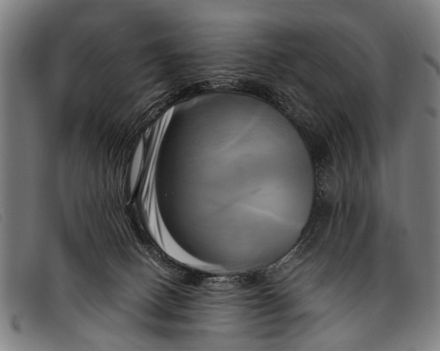 X0000097860082200804041538