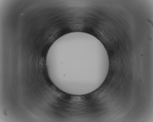 X0000097860083200804041538