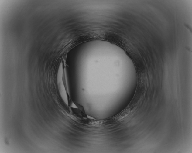 X0000097860084200804041538