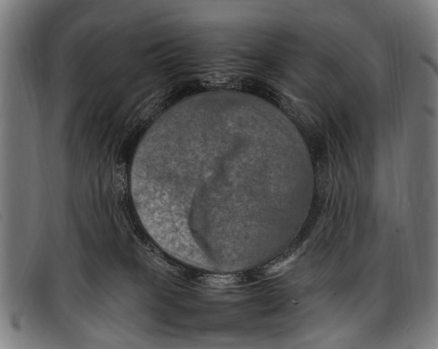 X0000097860085200804041538