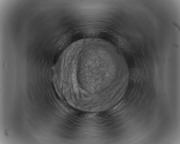 X0000097860086200804041538