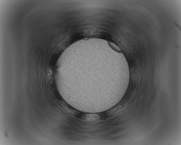 X0000097860087200804041538