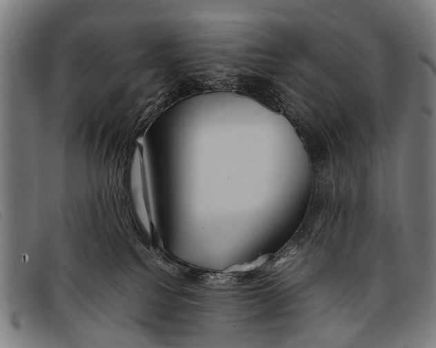 X0000097860088200804041538