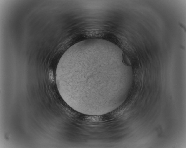 X0000097860089200804041538