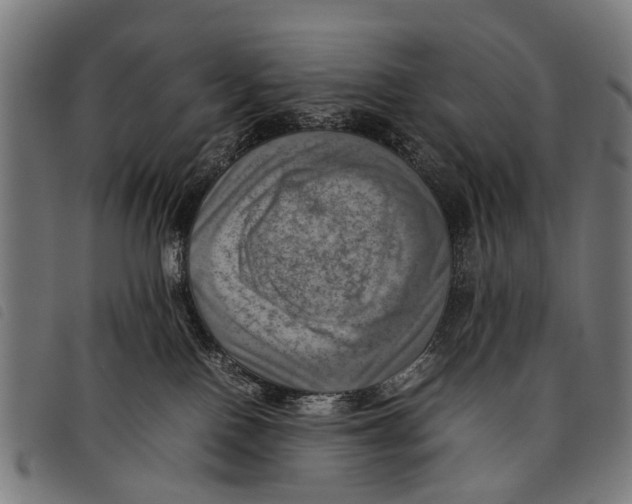 X0000097860090200804041538