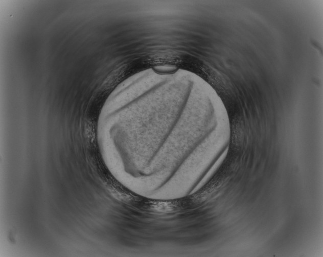 X0000097860091200804041538