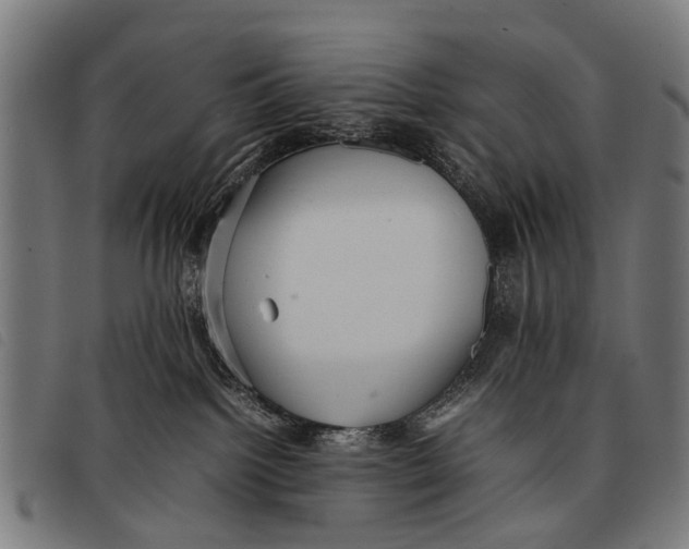 X0000097860092200804041538