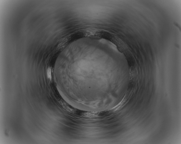 X0000097860094200804041538