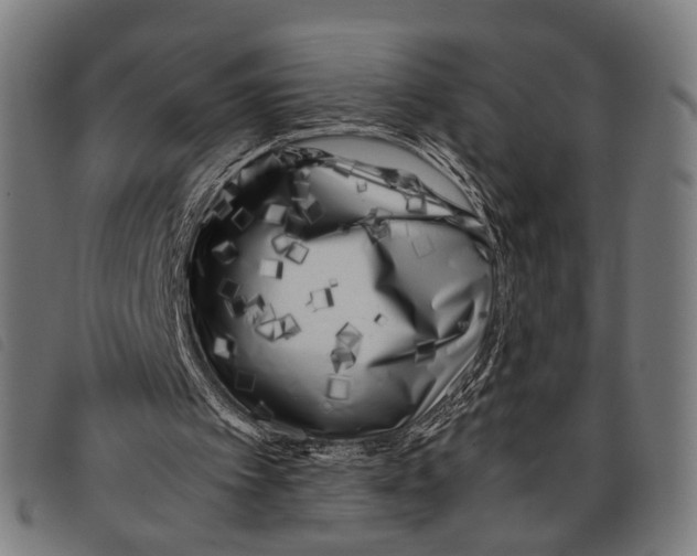 X0000097860097200804041537