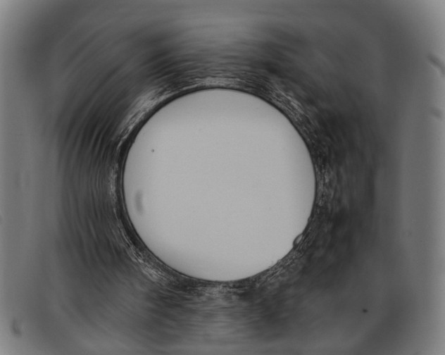 X0000097860098200804041537