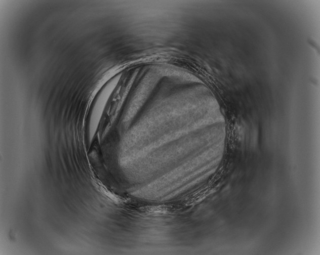 X0000097860100200804041537