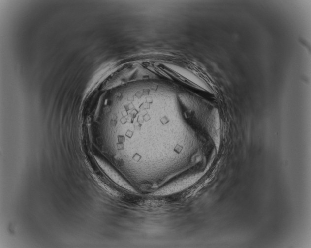 X0000097860101200804041537