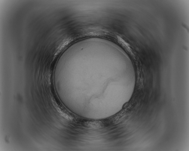 X0000097860106200804041537