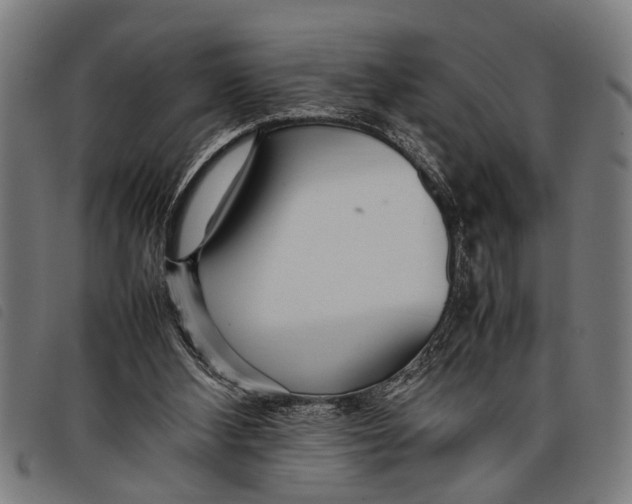 X0000097860108200804041537