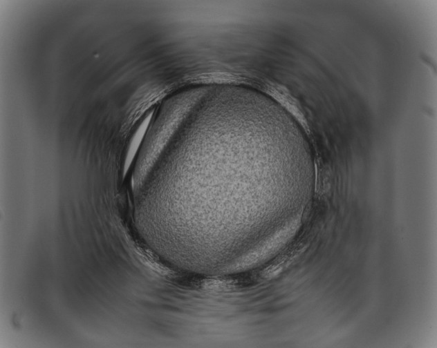 X0000097860109200804041537