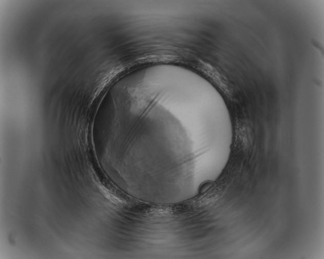 X0000097860110200804041537