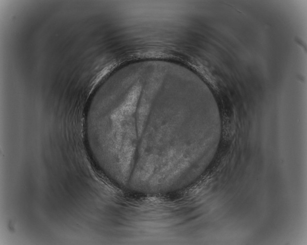 X0000097860111200804041537