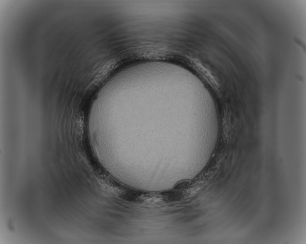 X0000097860113200804041537