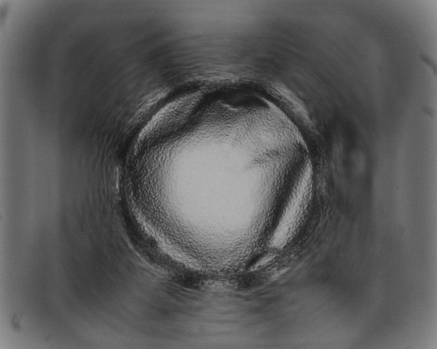 X0000097860115200804041537