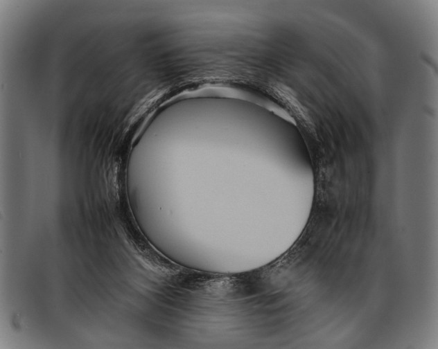 X0000097860116200804041537