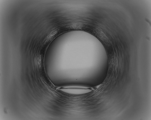 X0000097860120200804041537