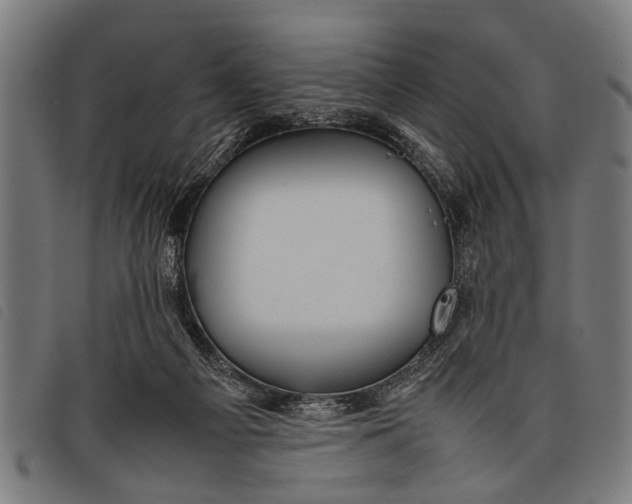 X0000097860121200804041537