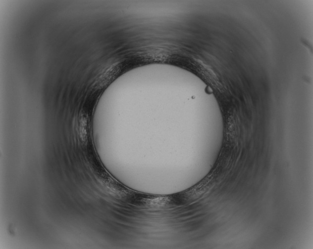 X0000097860122200804041537