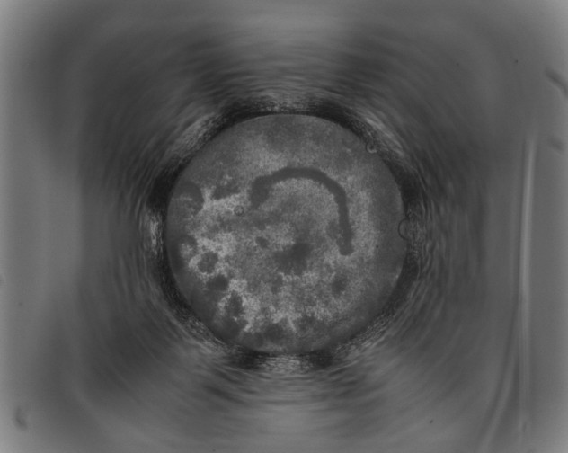 X0000097860123200804041537